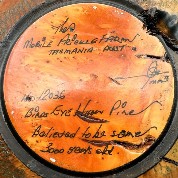 Tasmanian Turned Wood Bowl Ancient Huan Pine Birds Eye The Mobile Prickle Farm - Picture 4 of 13